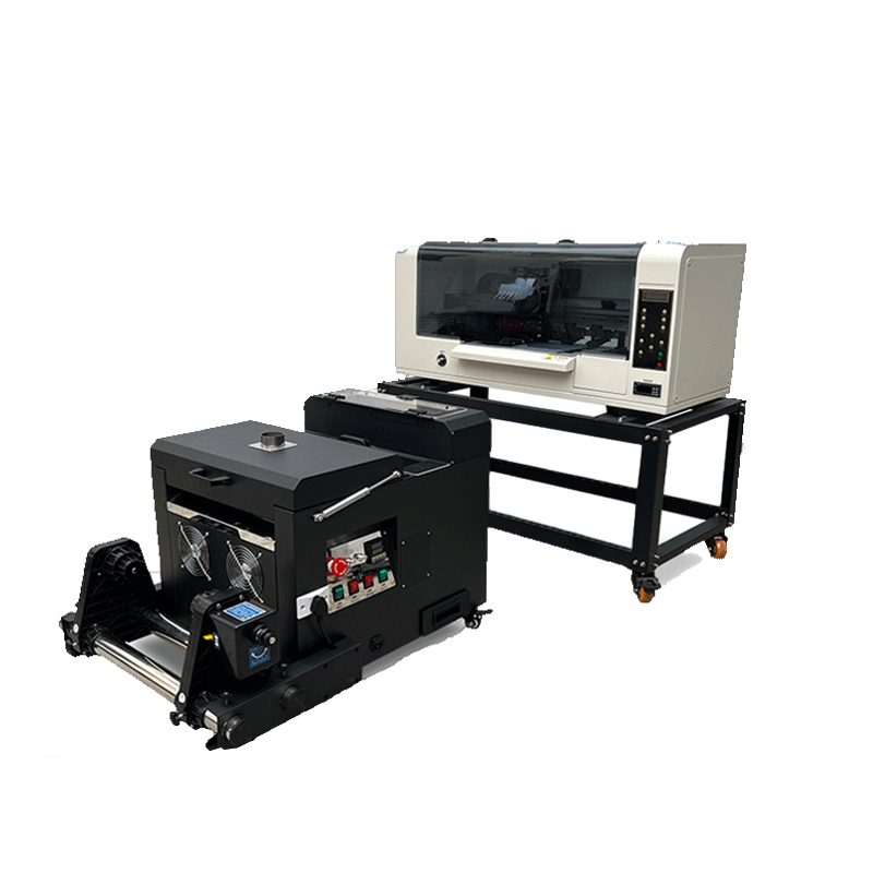 Commercial Dtf Printing - Dual Head XP600 A3 30 cm